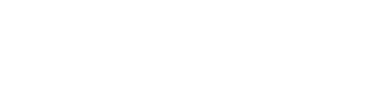 Aereo SPC Flooring